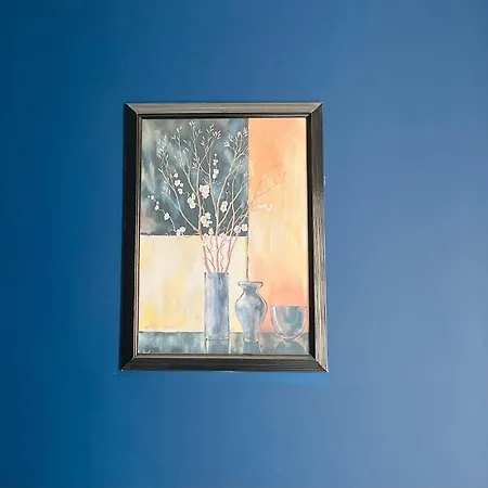 Airport Comfy Guest *